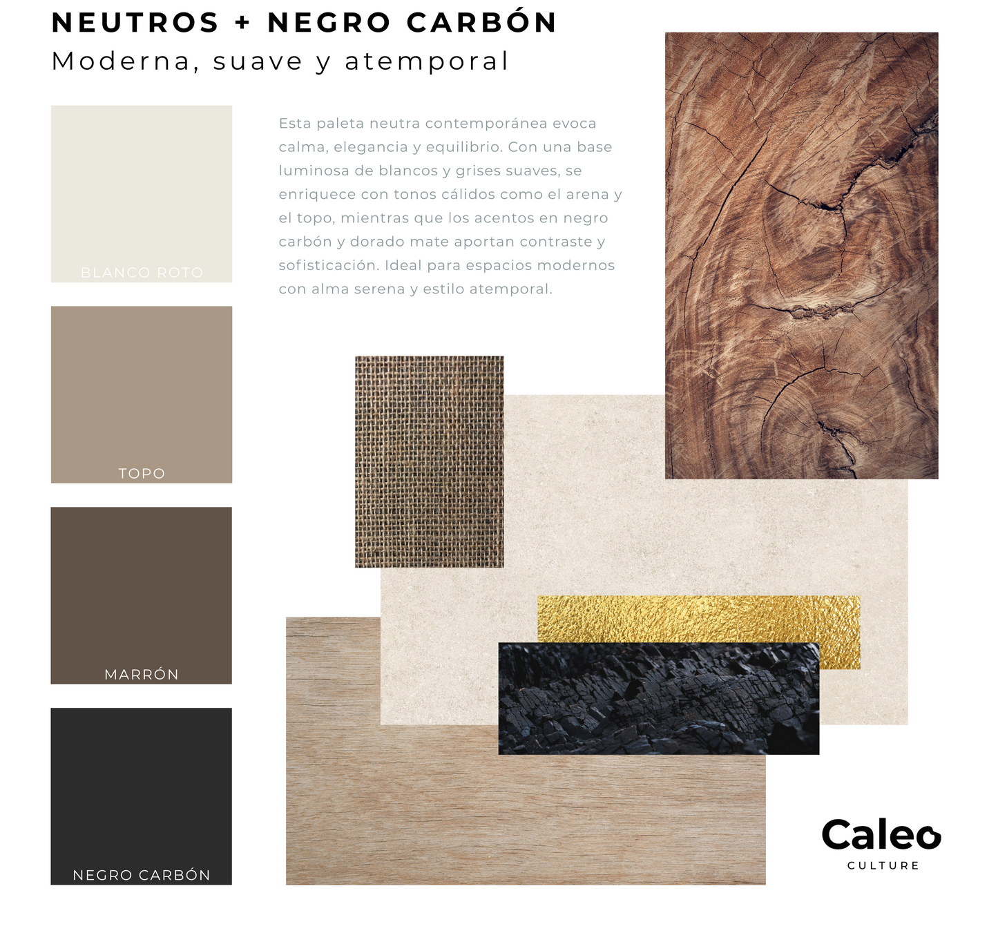 Tablero de inspiración (MOODBOARD)