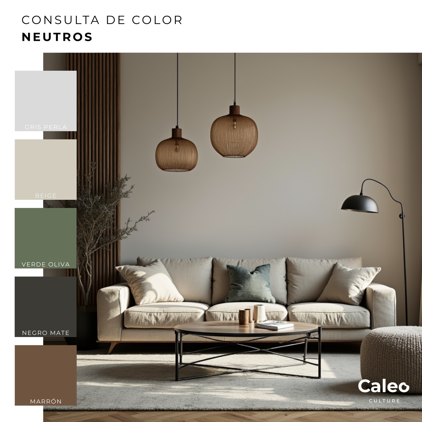 Consulta de color + Tablero de Inspiración + Asistencia de compra