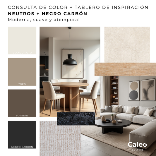 Tablero de inspiración + Consulta de color detallada