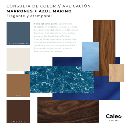 Tablero de inspiración + Consulta de color detallada
