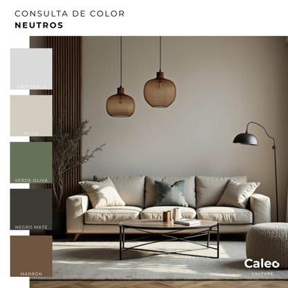Consulta de color a detalle