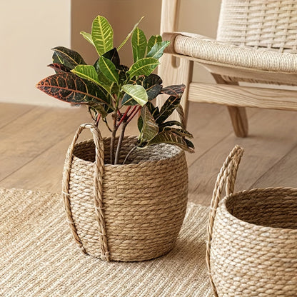 Cesta decorativa tejida a mano - Disponible en 3 tamaños - Cubremaceta rústico de tallos de sorgo con asas